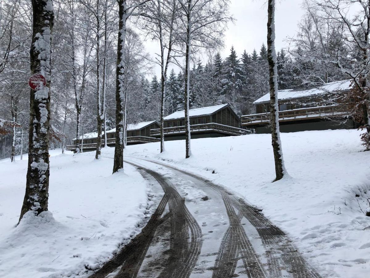 Chalet De Charme, Le "Caribou Lodge", Eifel Belge Бюллинген Экстерьер фото