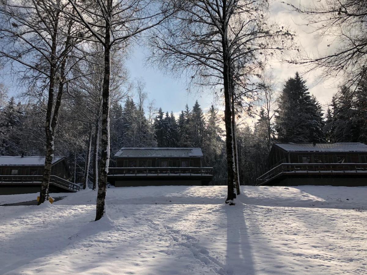 Chalet De Charme, Le "Caribou Lodge", Eifel Belge Бюллинген Экстерьер фото