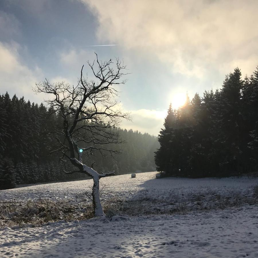 Chalet De Charme, Le "Caribou Lodge", Eifel Belge Бюллинген Экстерьер фото